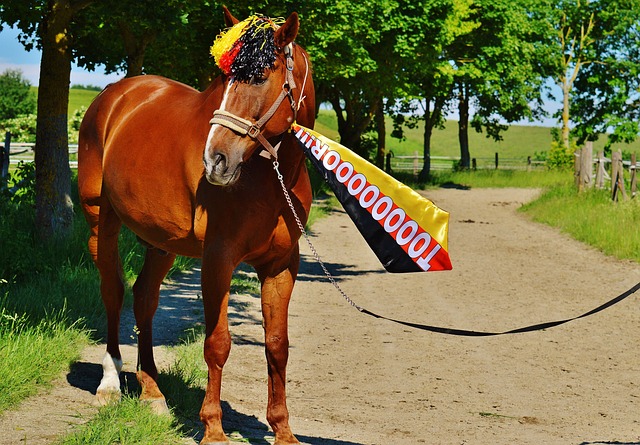 立在欧足联 立在欧足联