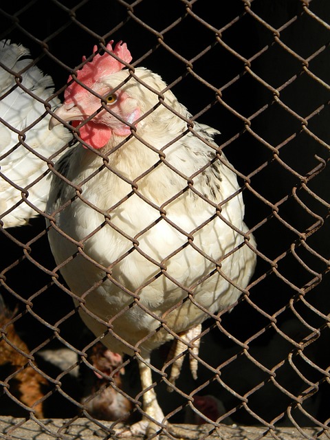 這充分顯示 這充分顯示